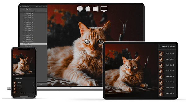Universal Compatibility